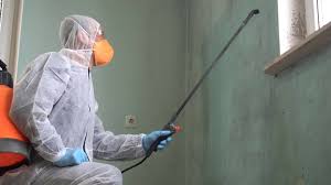 Professional Mold Removal in Shawnee Hills, OH