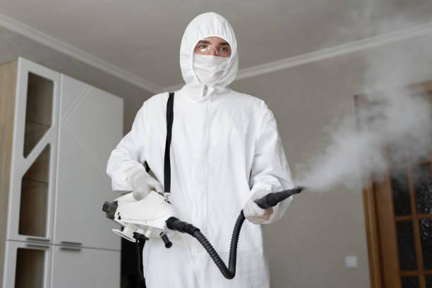 Why You Should Choose Our Mold Remediation Services in Shawnee Hills, OH